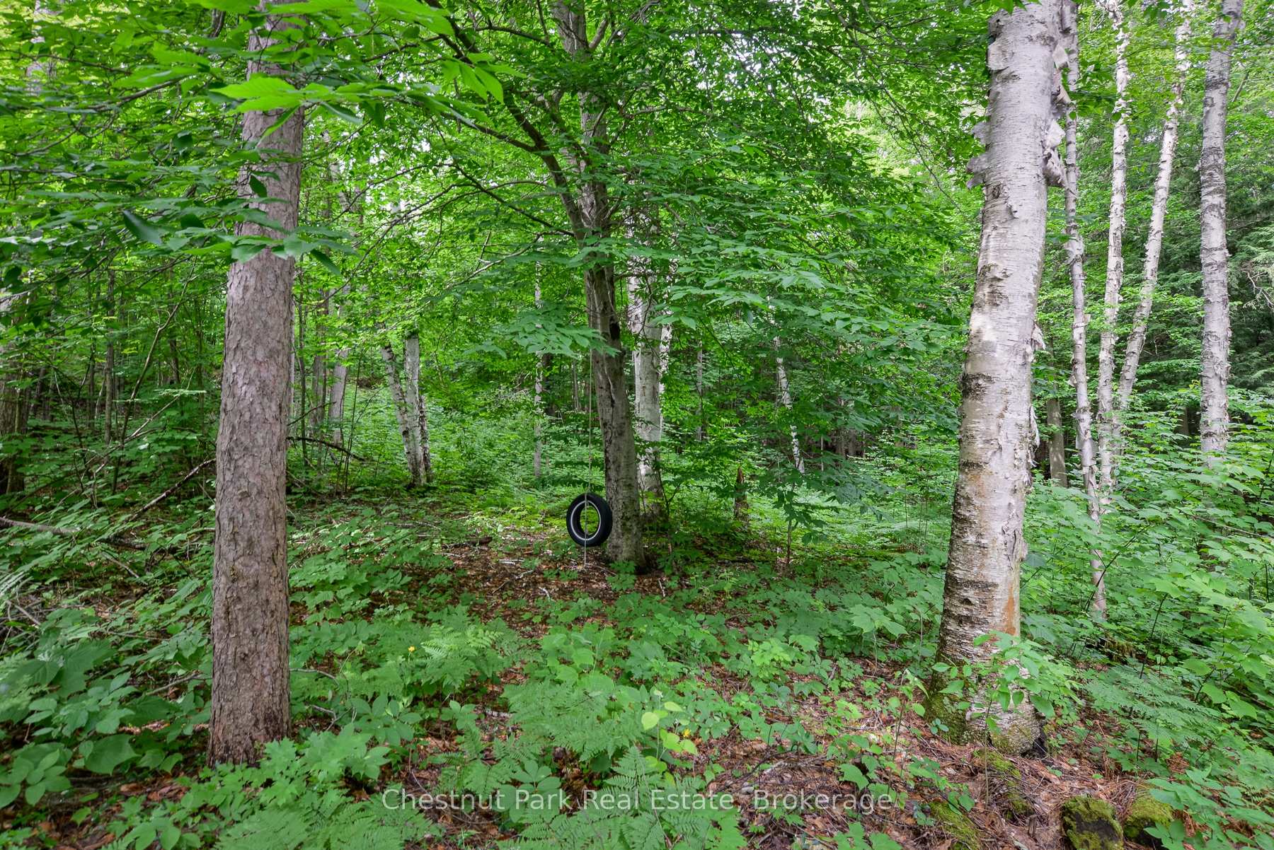Photo 65 of 26 Island 26LM, Gravenhurst, Muskoka (S) — HOMEH