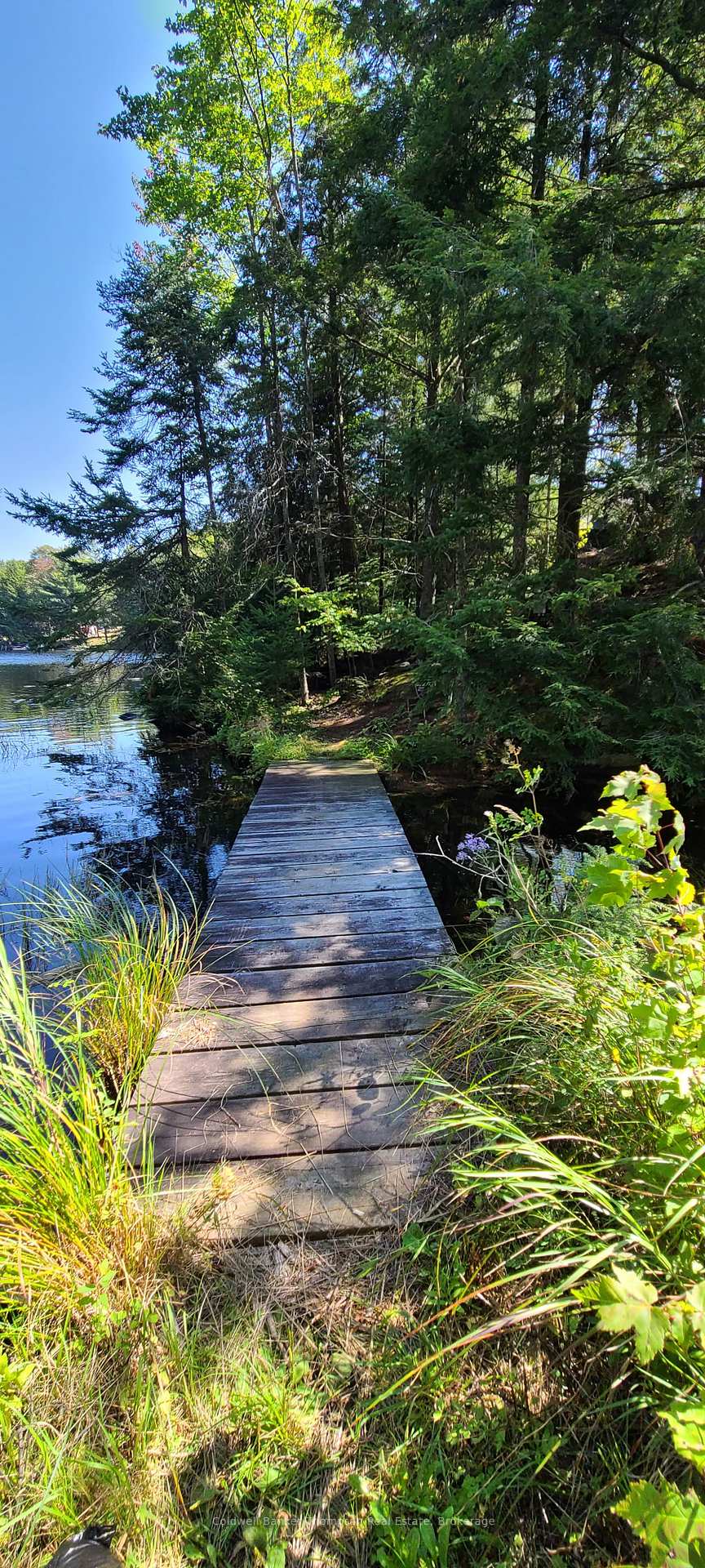 Photo 12 of 1020 Andersen Road, Bracebridge, Draper — HOMEH