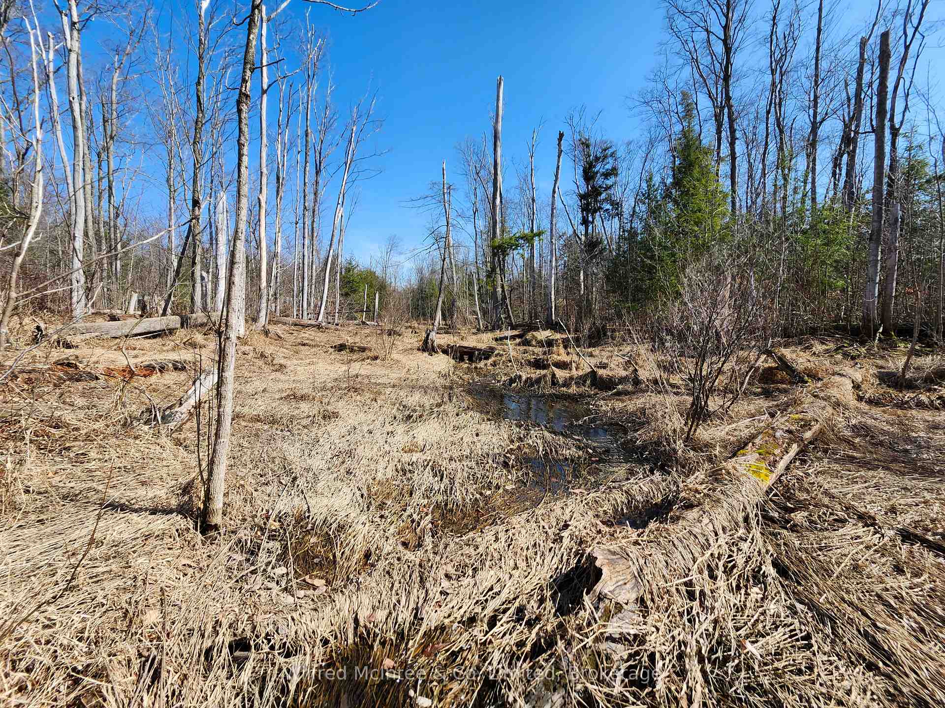 Photo 15 of PT LT 31 CON 3 Tower Line, Central Huron, Goderich — HOMEH