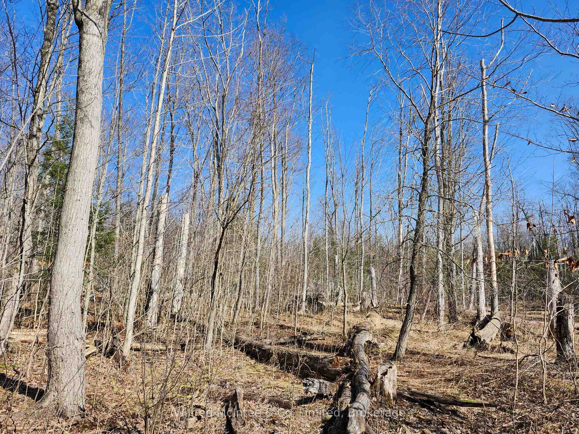 Photo 18 of PT LT 31 CON 3 Tower Line, Central Huron, Goderich — HOMEH