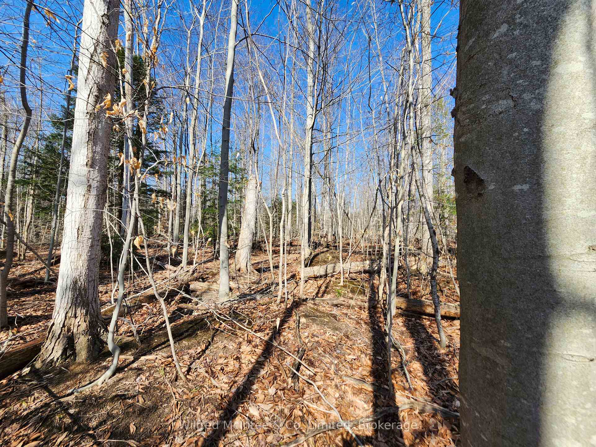 Photo 4 of PT LT 31 CON 3 Tower Line, Central Huron, Goderich — HOMEH