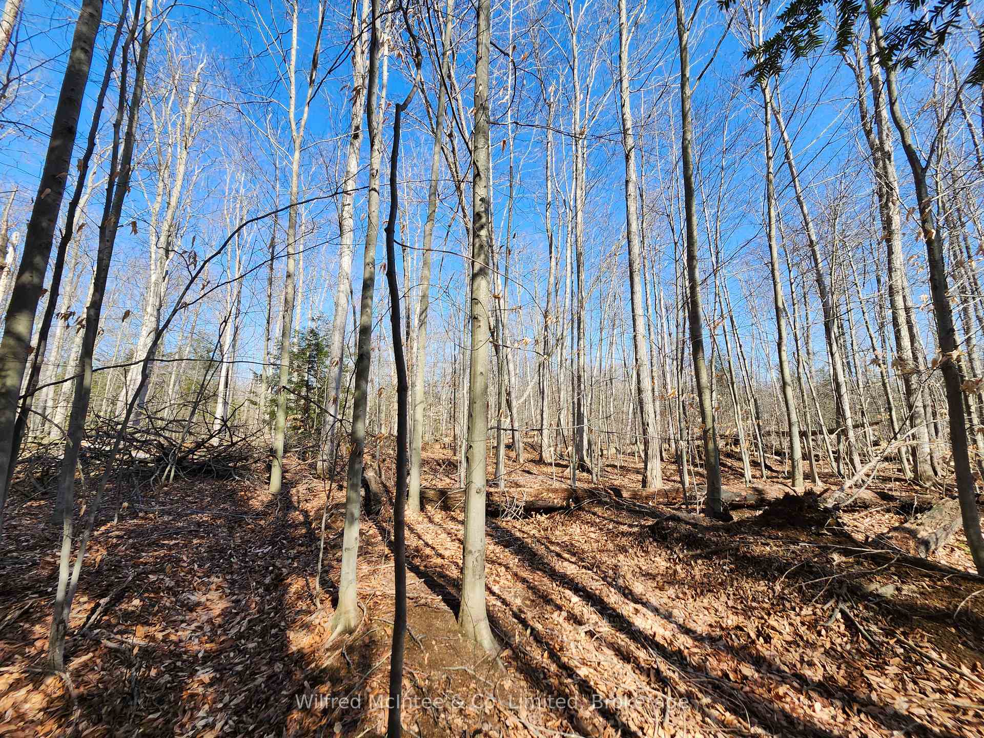 Photo 20 of PT LT 31 CON 3 Tower Line, Central Huron, Goderich — HOMEH