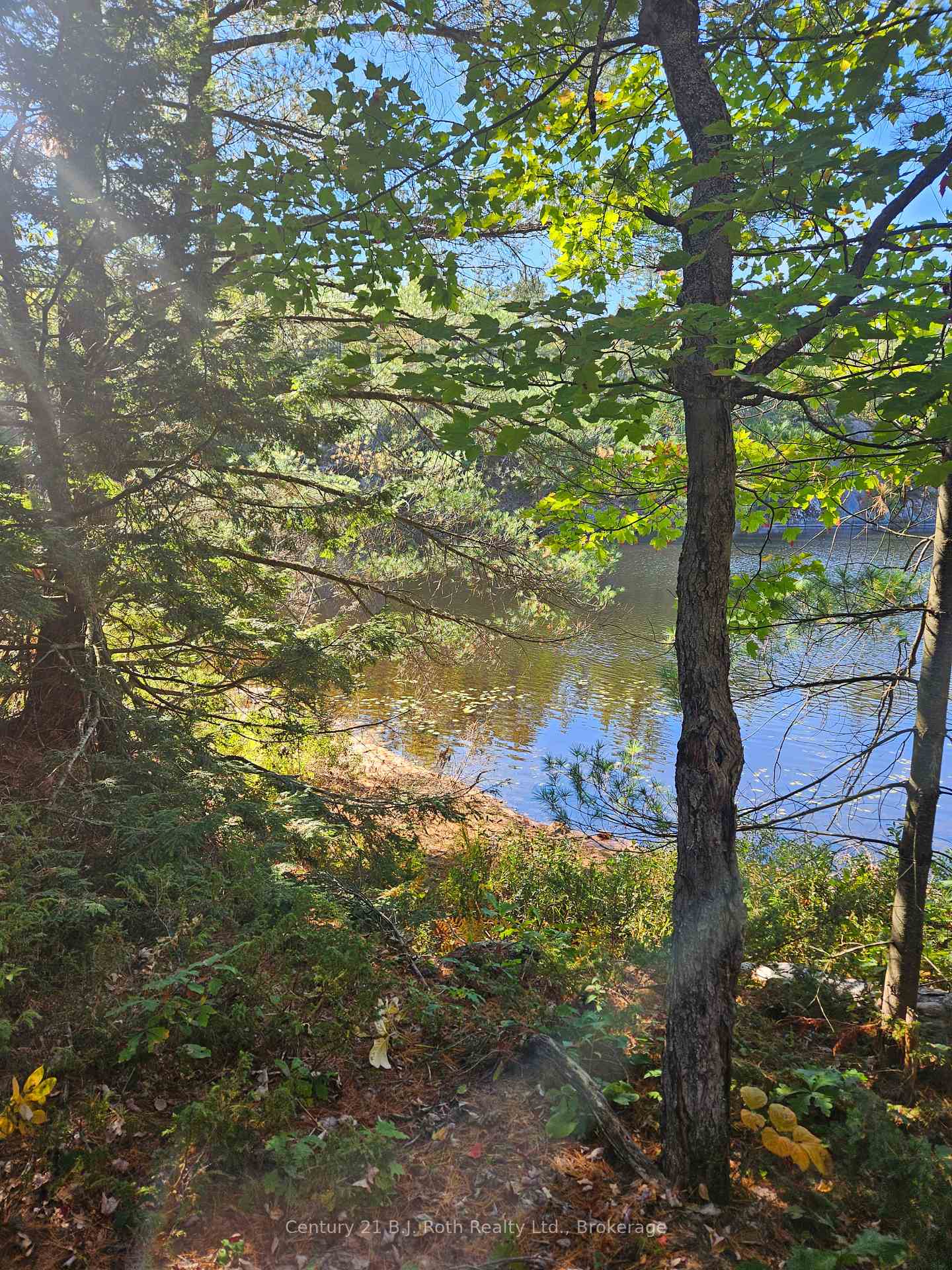 Photo 14 of 1112 Sam Cook Road, Gravenhurst, Ryde — HOMEH
