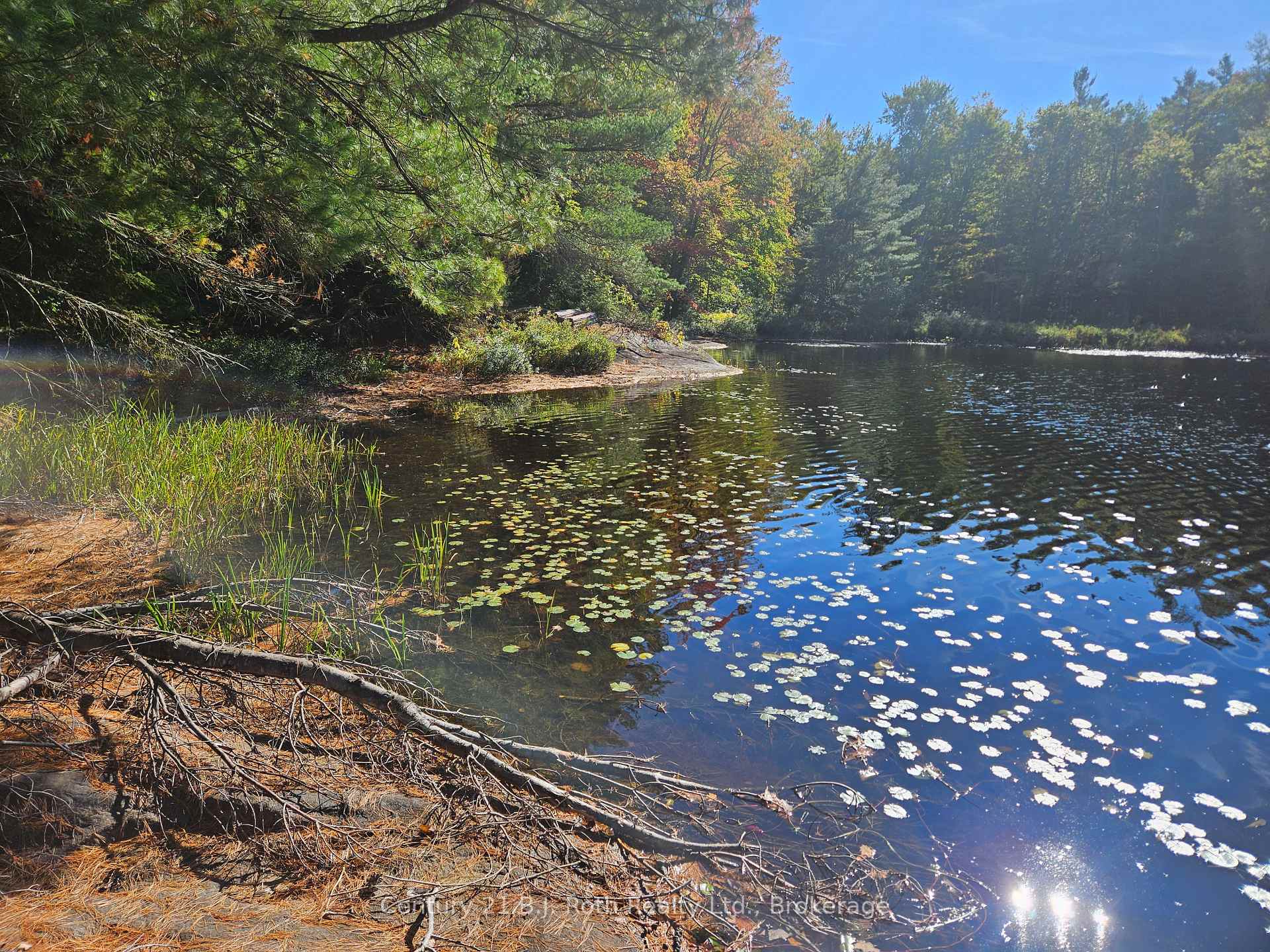 Photo 22 of 1112 Sam Cook Road, Gravenhurst, Ryde — HOMEH