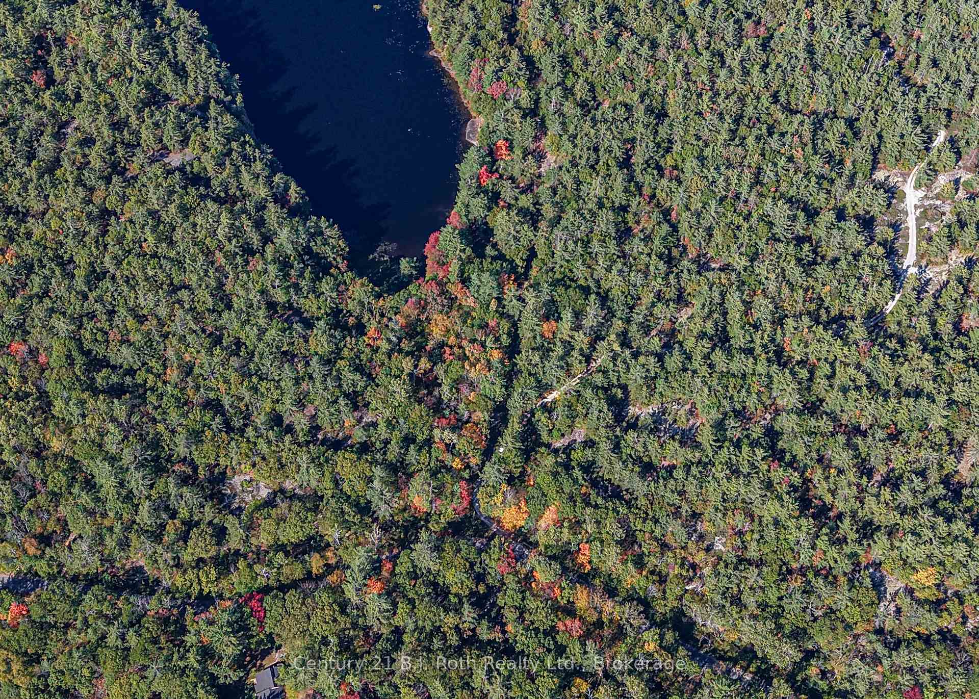 Photo 8 of 1112 Sam Cook Road, Gravenhurst, Ryde — HOMEH