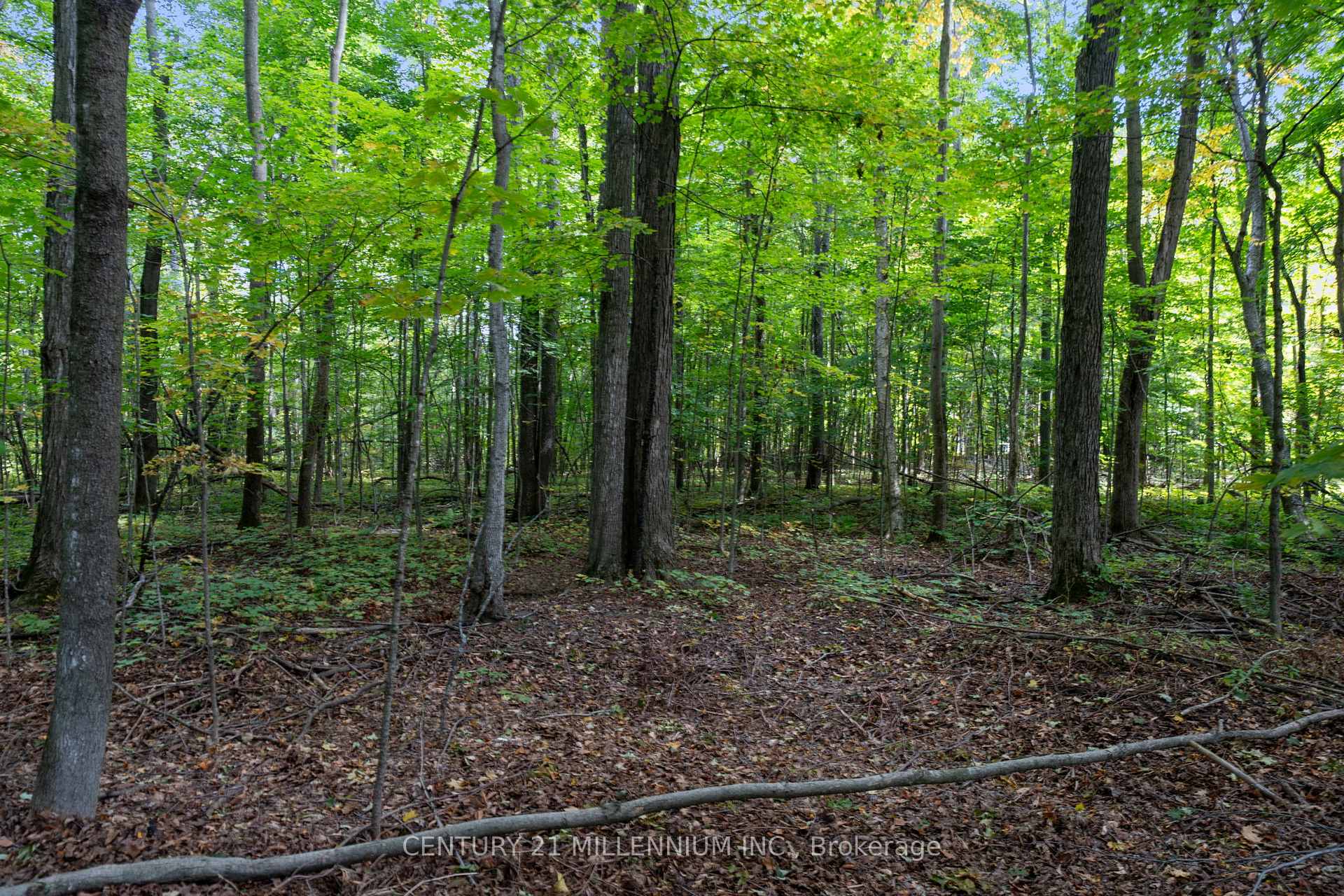 Photo 18 of 7 Erinwood Drive, Erin, Rural Erin — HOMEH