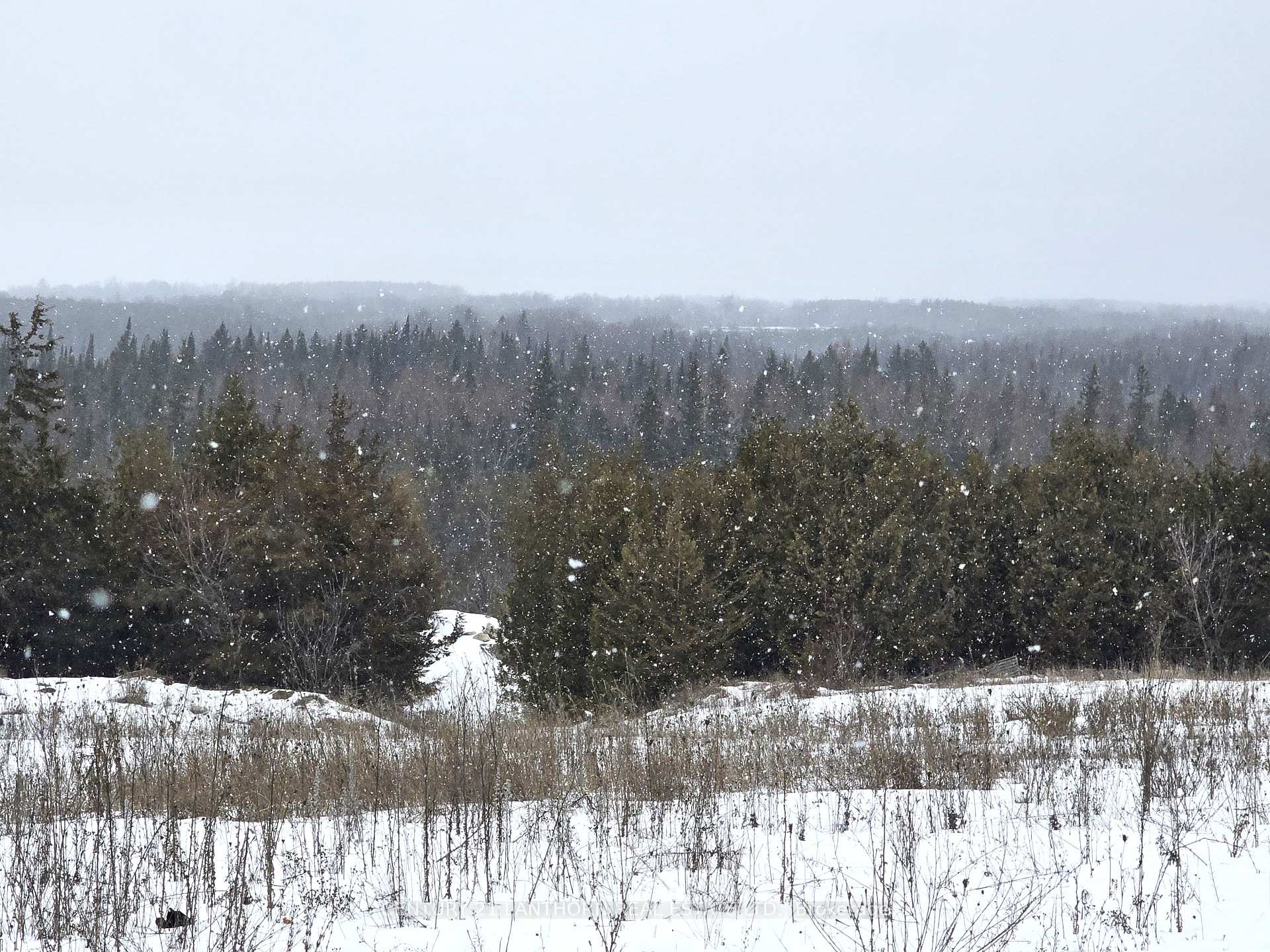Photo 10 of Shannonville Road, Tyendinaga, Tyendinaga Township — HOMEH