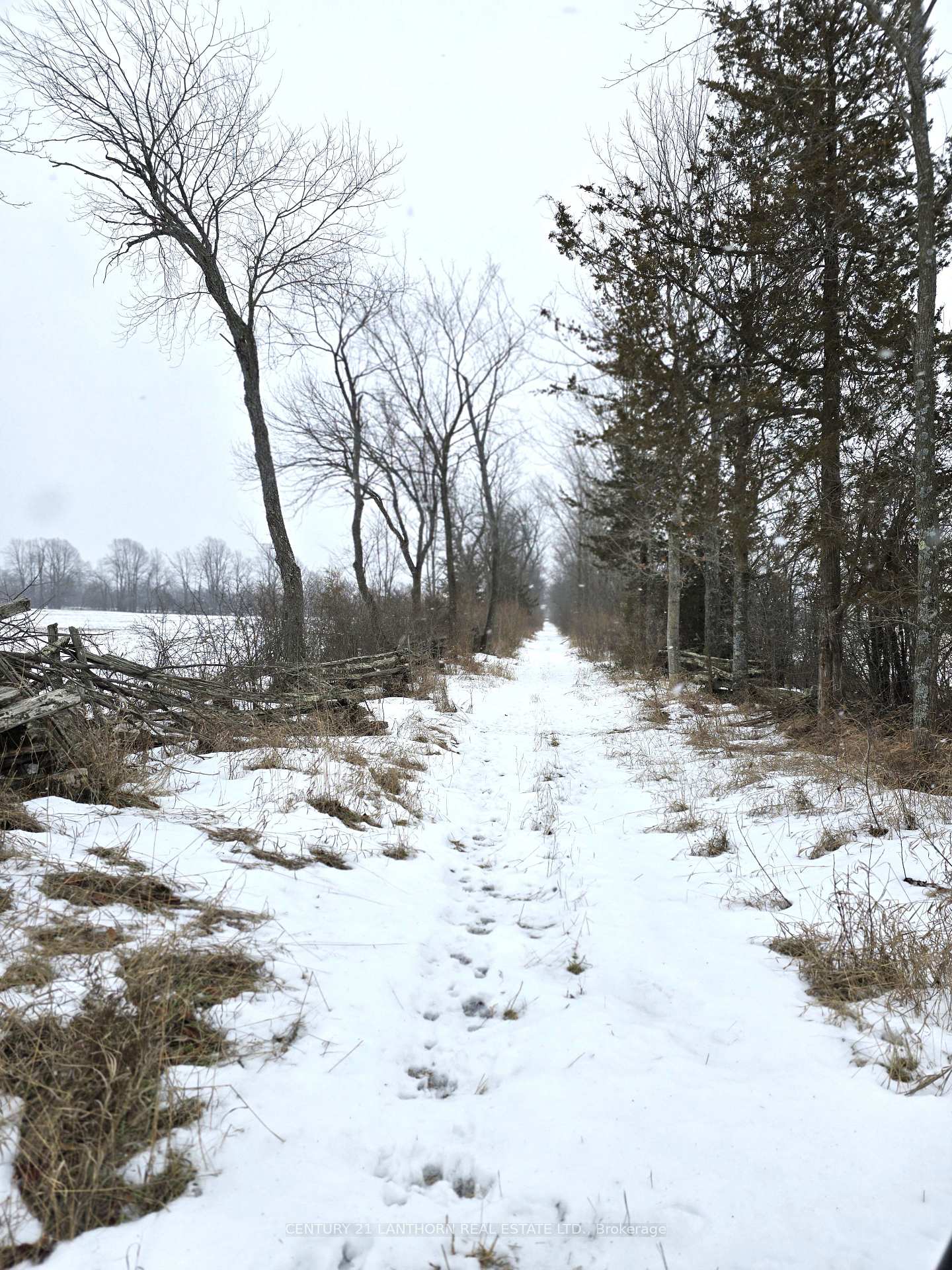 Photo 9 of Shannonville Road, Tyendinaga, Tyendinaga Township — HOMEH