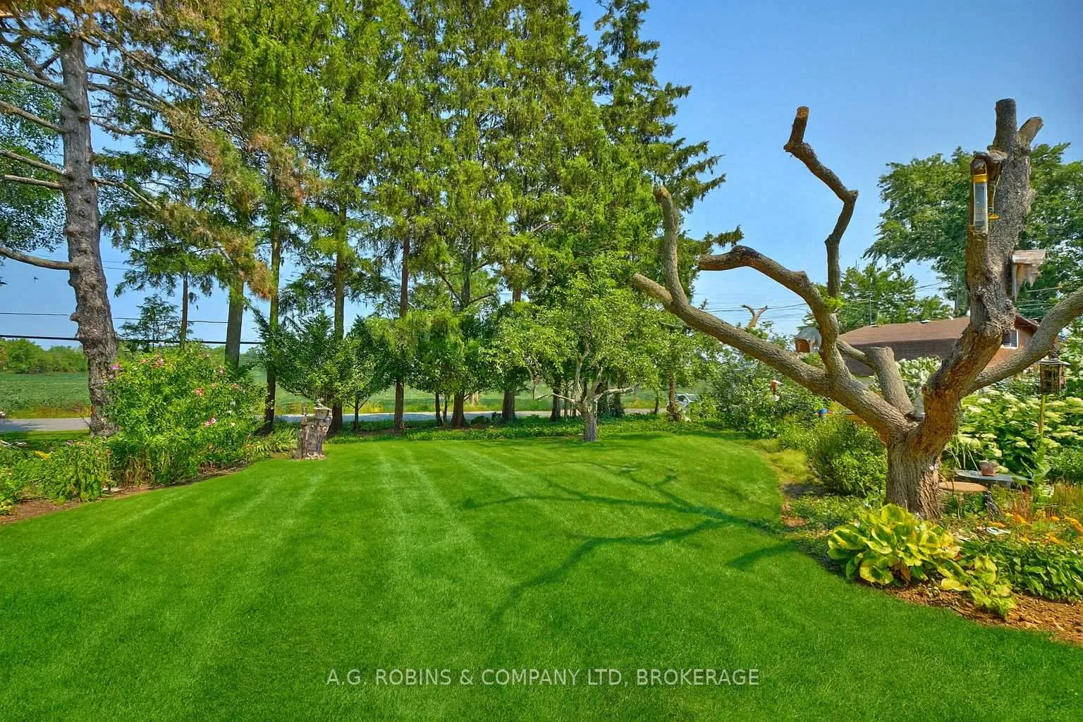 Photo 45 of 10773 Lakeshore Road, Wainfleet, Lakeshore — HOMEH