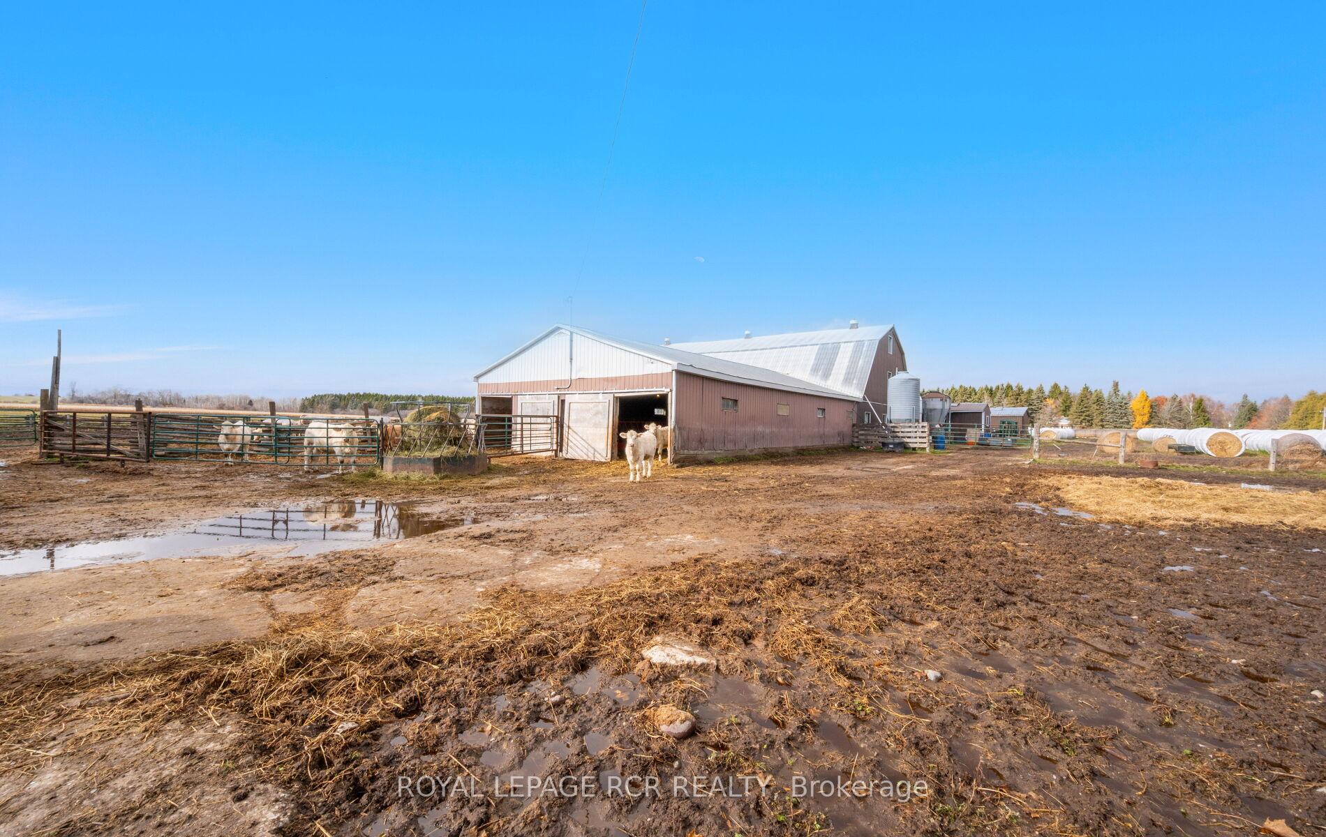 Photo 14 of 553456 Mono Amaranth Townline, Amaranth, Rural Amaranth — HOMEH