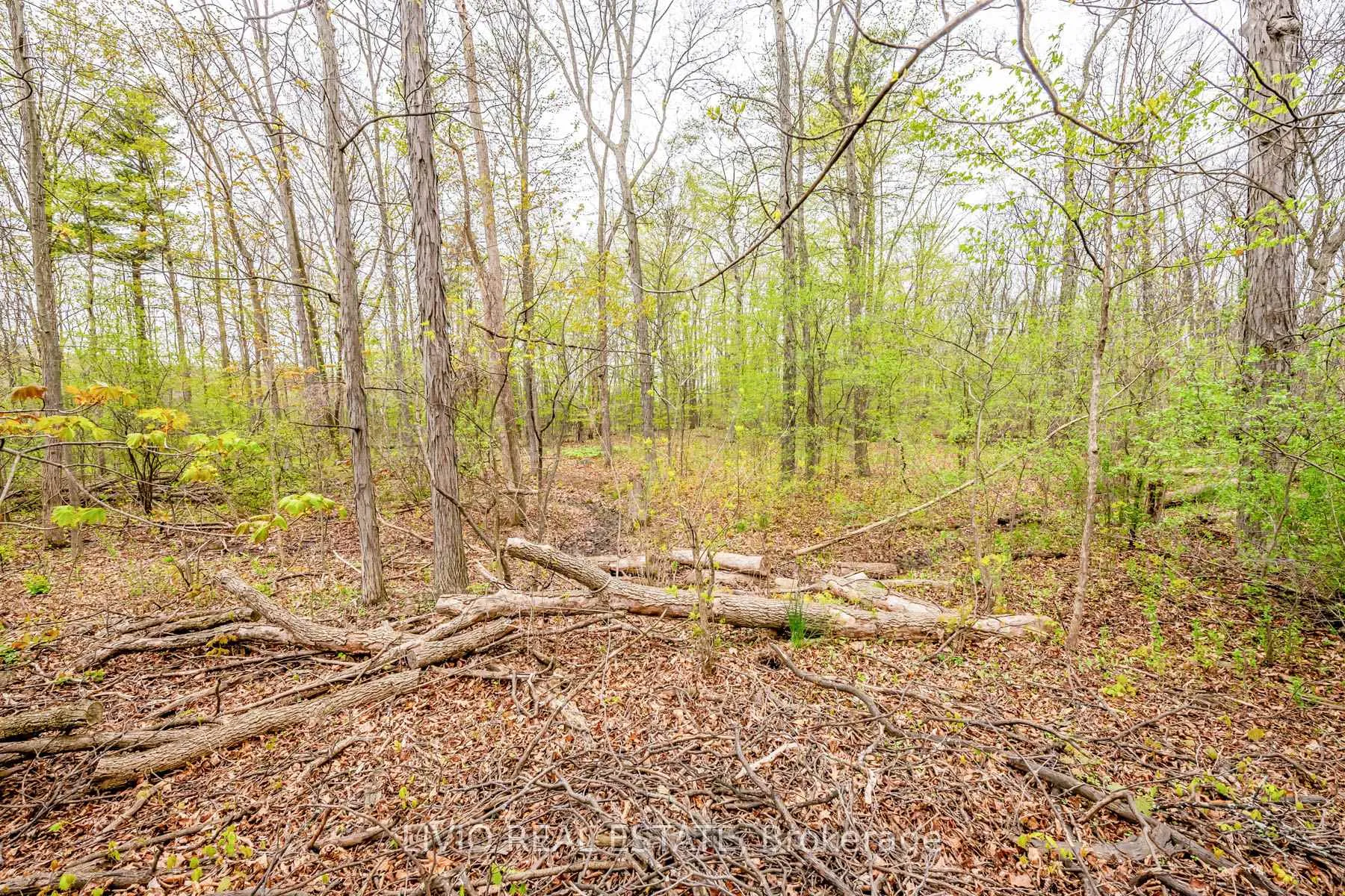 Photo 100 of 122 Forest Hill Road, Grimsby, Grimsby West — HOMEH