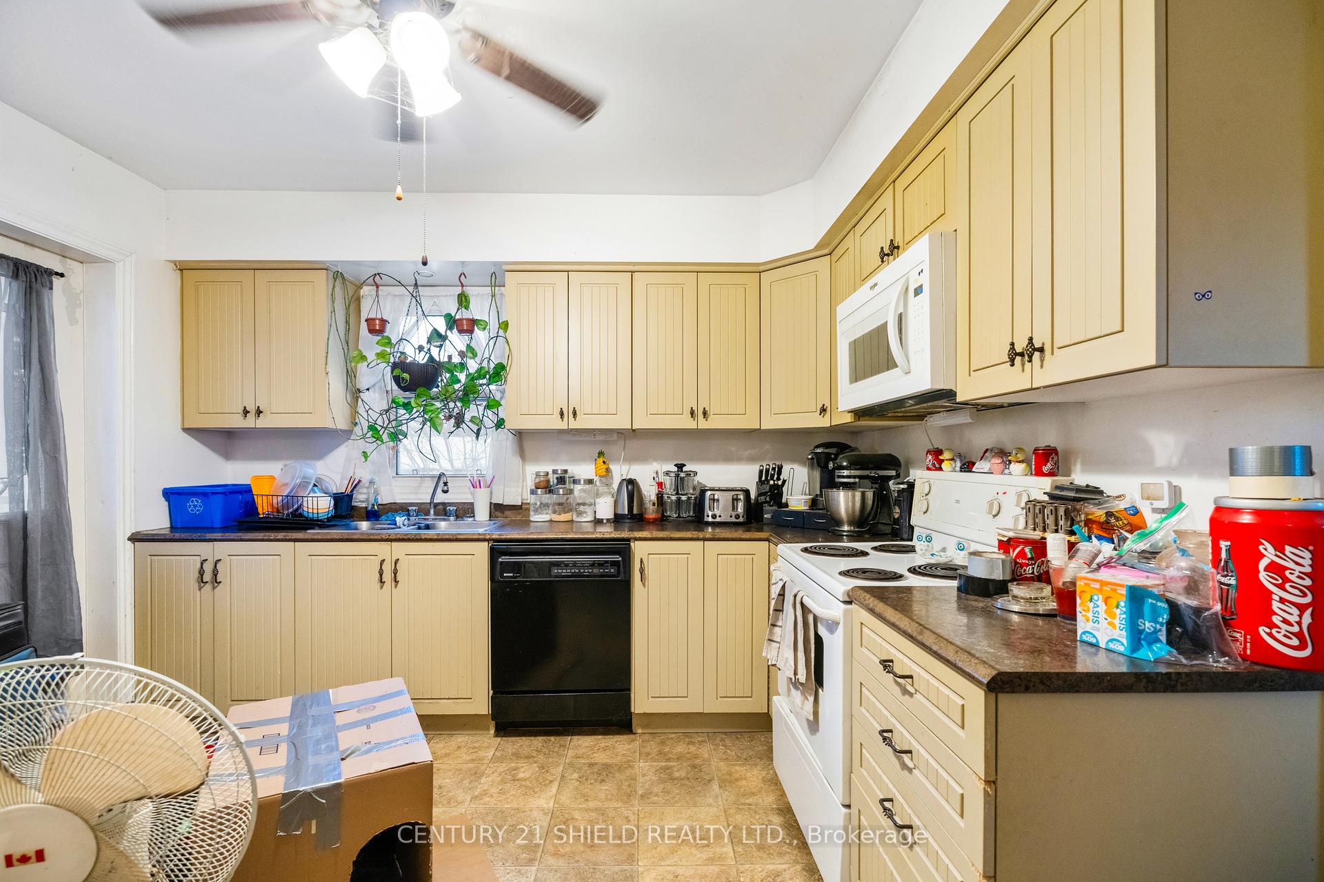 Photo 15 of 37 Timothy Avenue, Cornwall — HOMEH