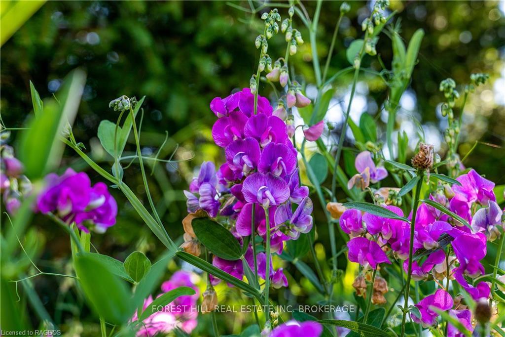 Photo 7 of 236216 Grey Road 13, Grey Highlands — HOMEH