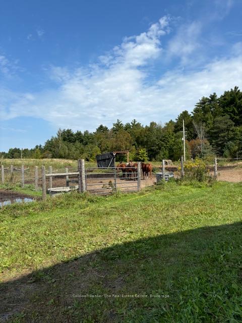 Photo 18 of 1227 Baseline Road, Gravenhurst, Morrison — HOMEH