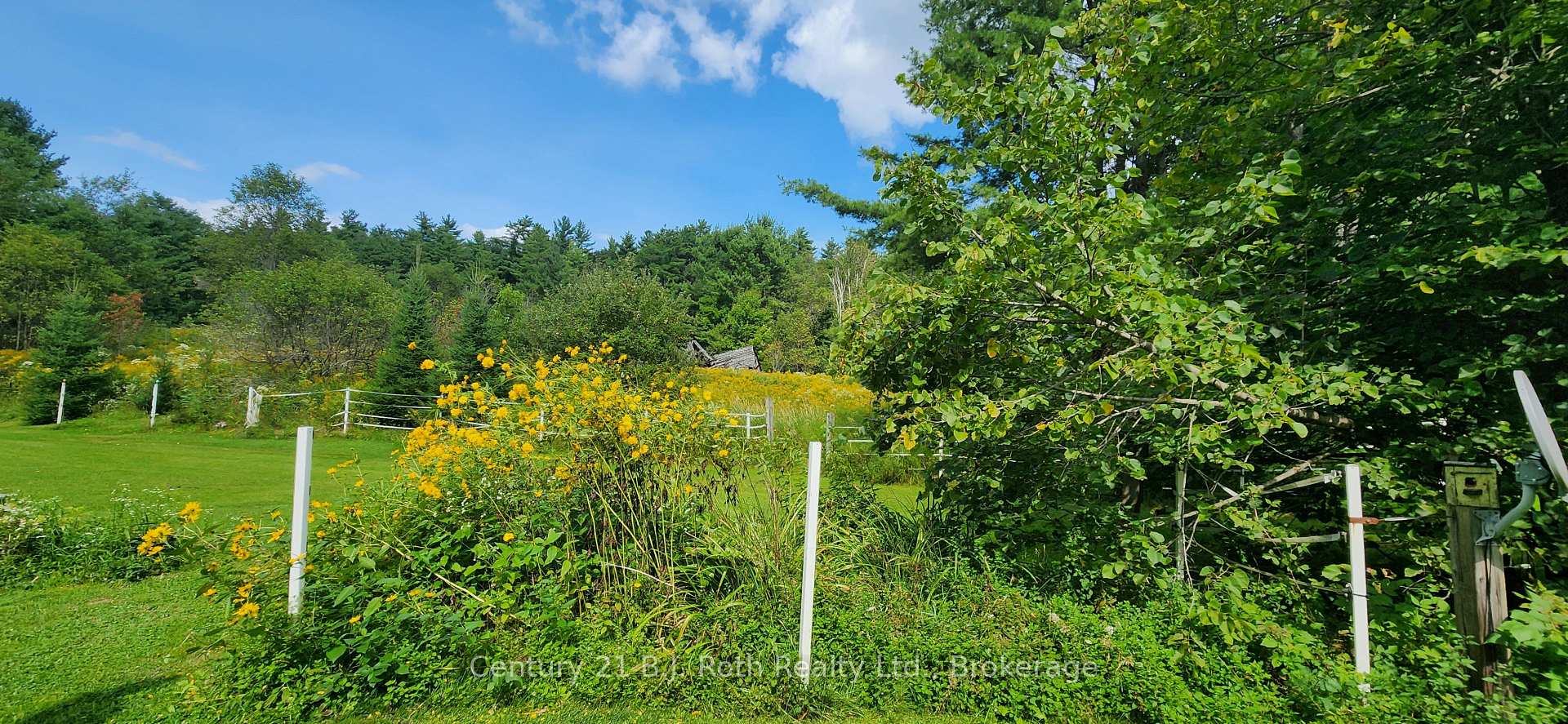 Photo 14 of 1175 Silver Lake Road, Gravenhurst, Muskoka (S) — HOMEH