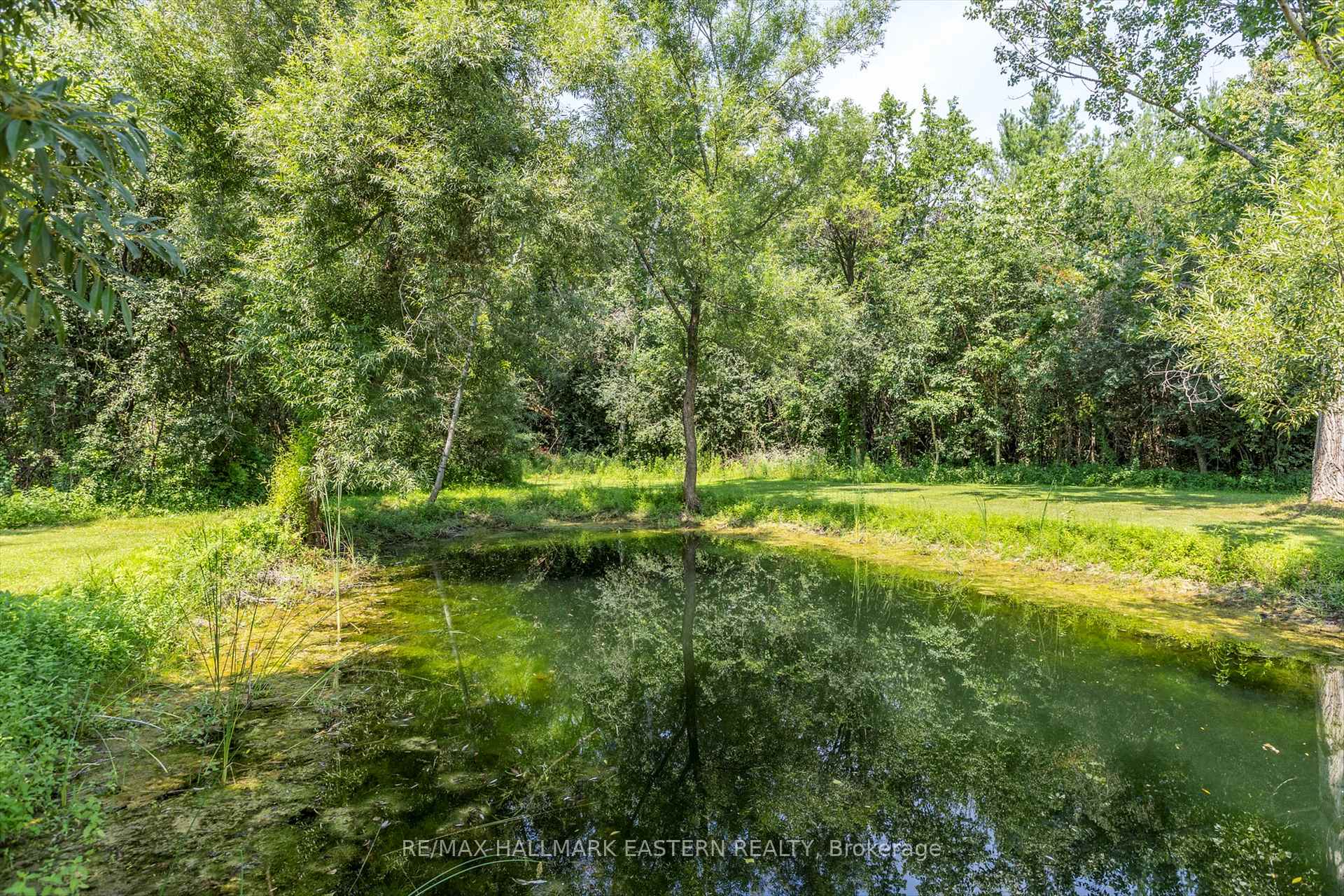 Photo 46 of 3072 Stu Black Road, Hamilton Township, Rural Hamilton — HOMEH