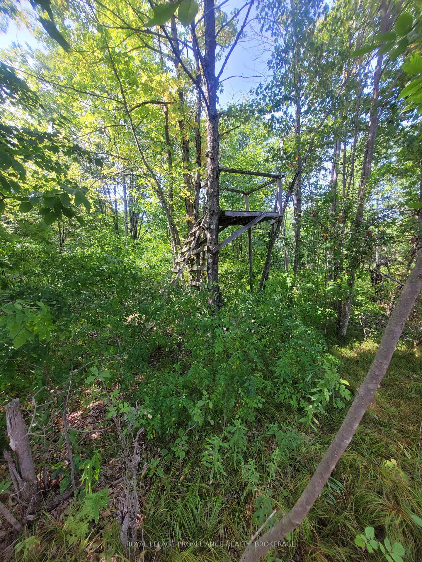 Photo 16 of LT 2-3 Beattie Road, Frontenac, Frontenac Centre — HOMEH