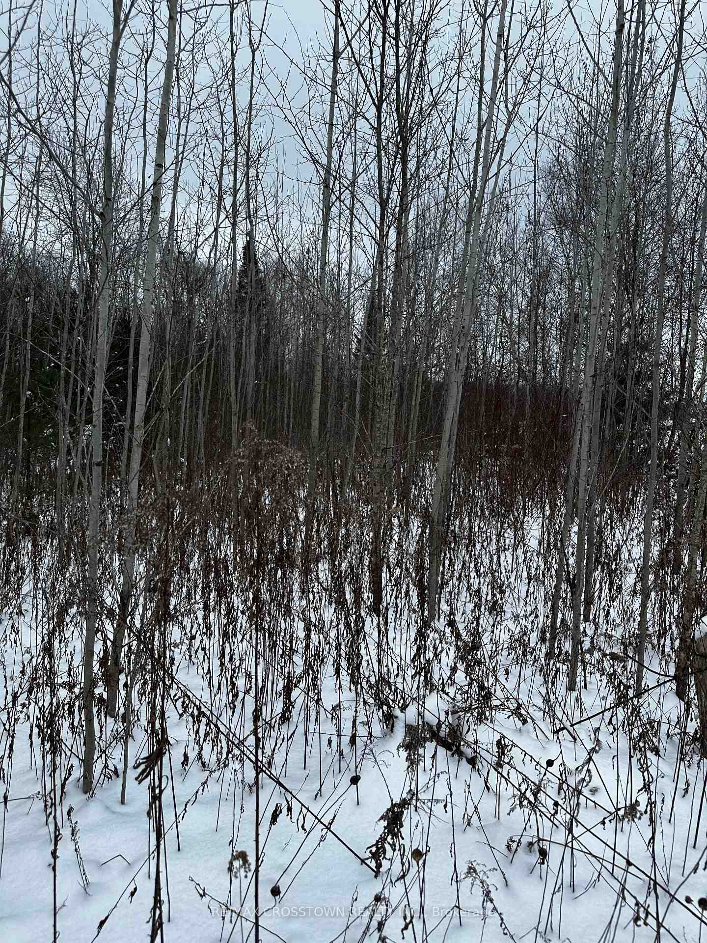 Photo 3 of 6155 Concession 2, Clearview, Stayner — HOMEH