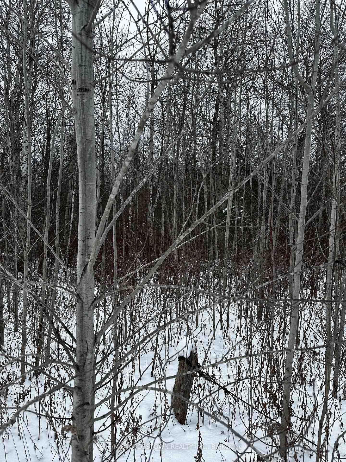 Photo 4 of 6155 Concession 2, Clearview, Stayner — HOMEH