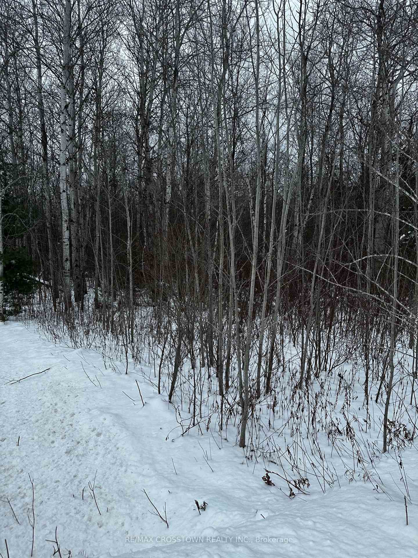 Photo 5 of 6155 Concession 2, Clearview, Stayner — HOMEH