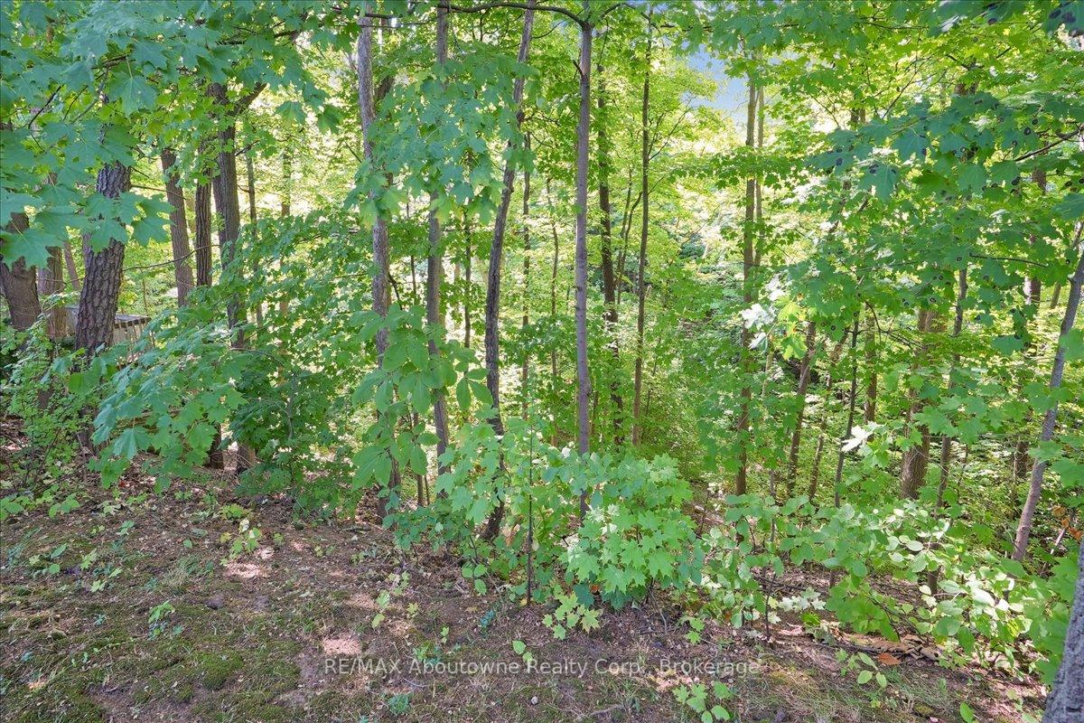 Photo 37 of 1974 Kern's Road, Burlington, Tyandaga — HOMEH