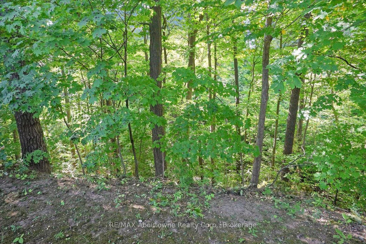 Photo 40 of 1974 Kern's Road, Burlington, Tyandaga — HOMEH