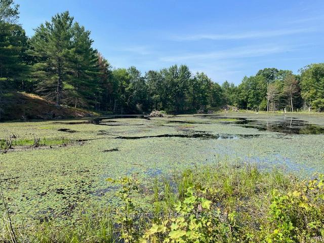 Photo 5 of 2142 4th Lake Road, Frontenac, Frontenac Centre — HOMEH