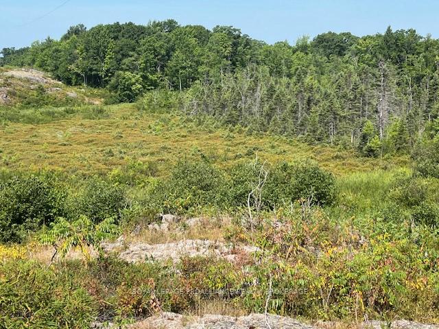 Photo 6 of 2142 4th Lake Road, Frontenac, Frontenac Centre — HOMEH