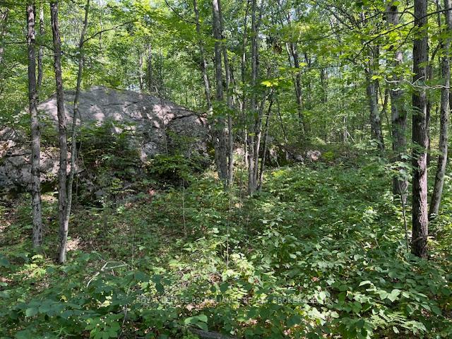 Photo 7 of 2142 4th Lake Road, Frontenac, Frontenac Centre — HOMEH