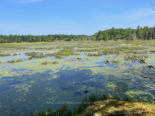 Photo 10 of 2142 4th Lake Road, Frontenac, Frontenac Centre — HOMEH