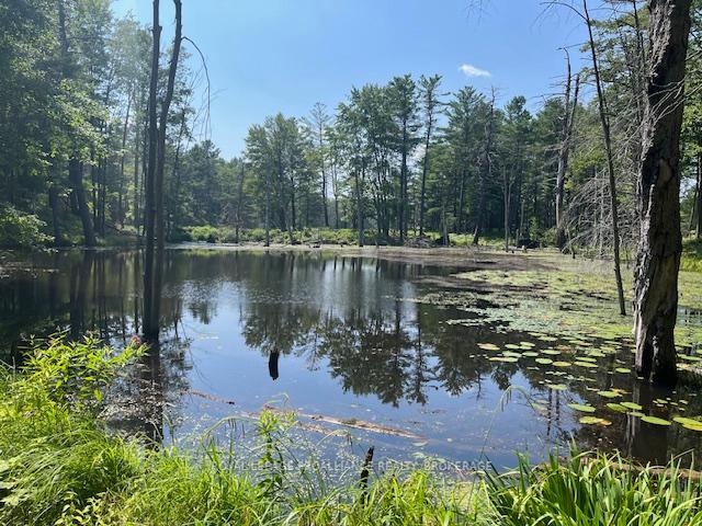 Photo 11 of 2142 4th Lake Road, Frontenac, Frontenac Centre — HOMEH