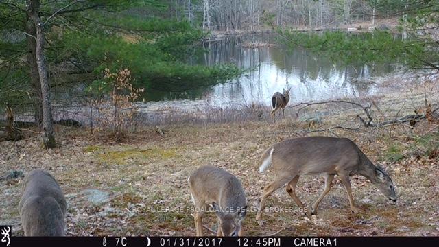 Photo 26 of 2142 4th Lake Road, Frontenac, Frontenac Centre — HOMEH