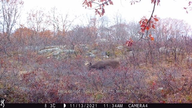 Photo 27 of 2142 4th Lake Road, Frontenac, Frontenac Centre — HOMEH