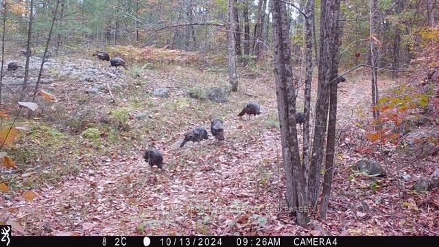 Photo 30 of 2142 4th Lake Road, Frontenac, Frontenac Centre — HOMEH