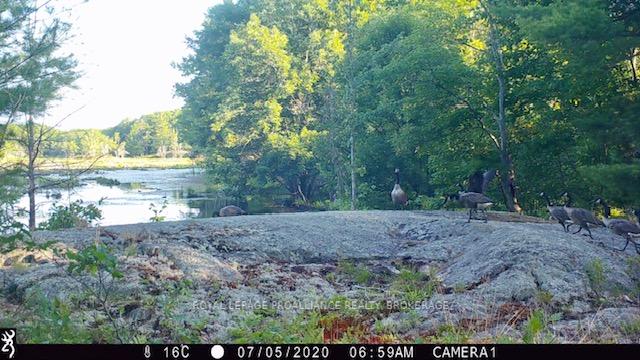 Photo 31 of 2142 4th Lake Road, Frontenac, Frontenac Centre — HOMEH