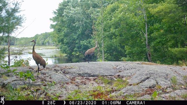 Photo 32 of 2142 4th Lake Road, Frontenac, Frontenac Centre — HOMEH