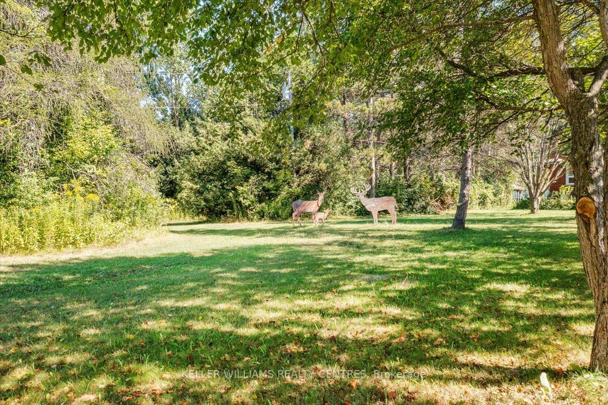 Photo 22 of 23973 Kennedy Road, Georgina, Belhaven — HOMEH