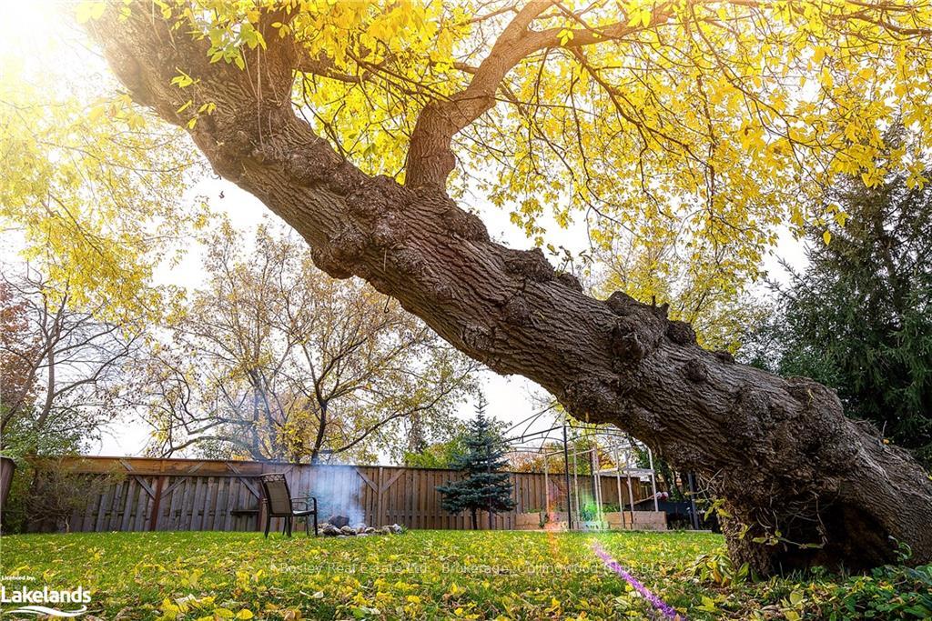 Photo 18 of 396 Sixth Street, Collingwood — HOMEH