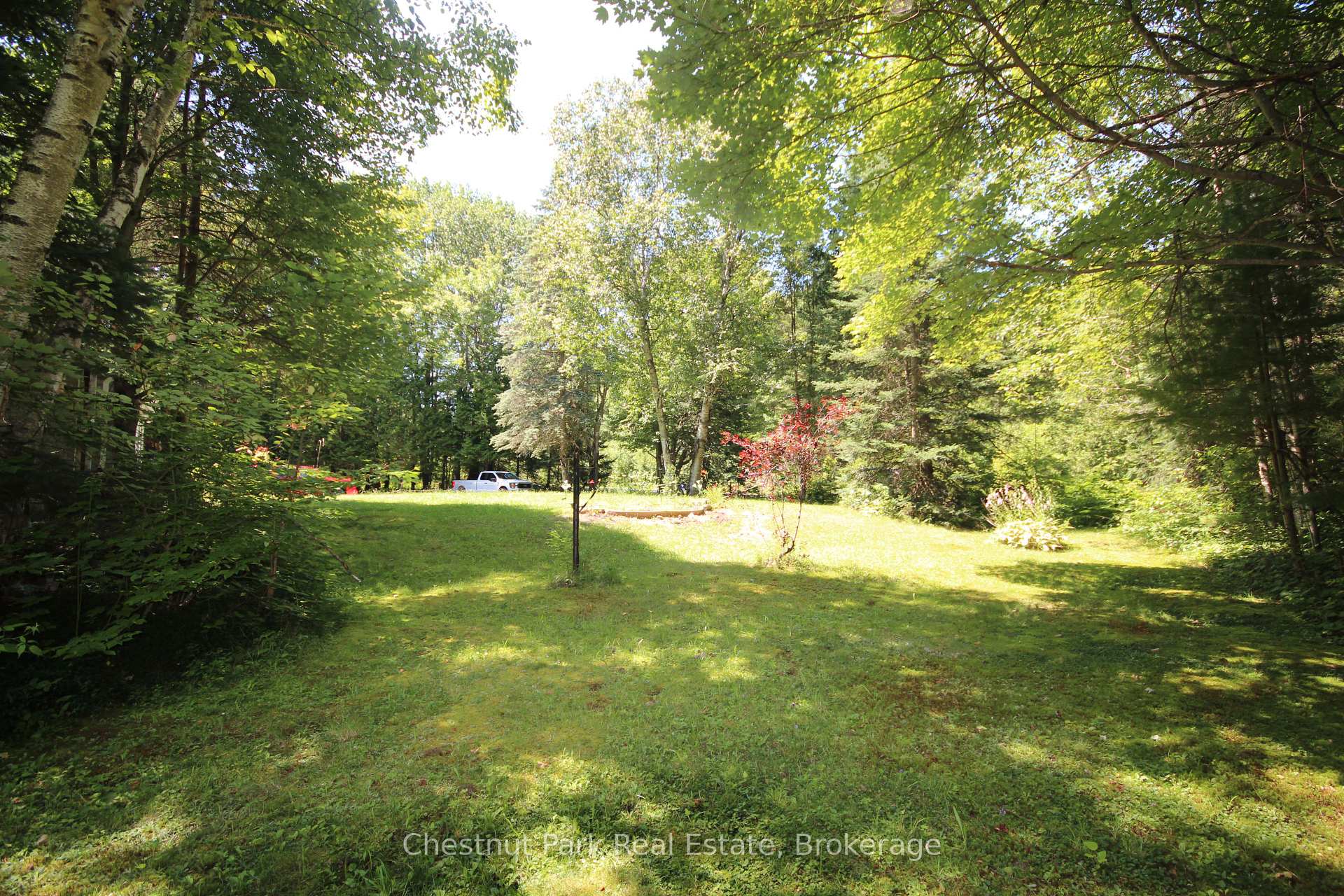 Photo 22 of 1028 Reg Schell Road, Gravenhurst, Morrison — HOMEH