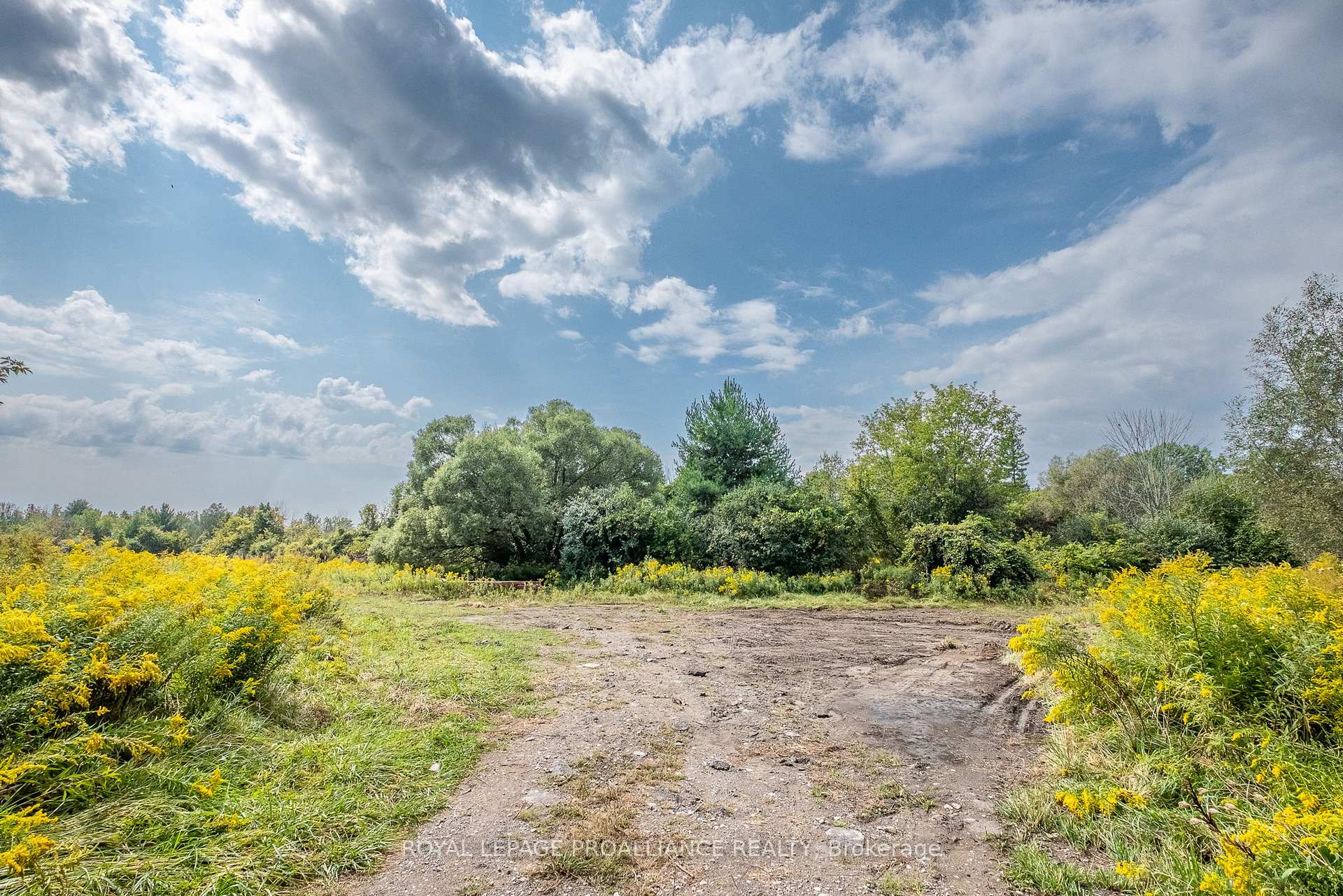 Photo 7 of 00 Trotters Lane, Cobourg — HOMEH