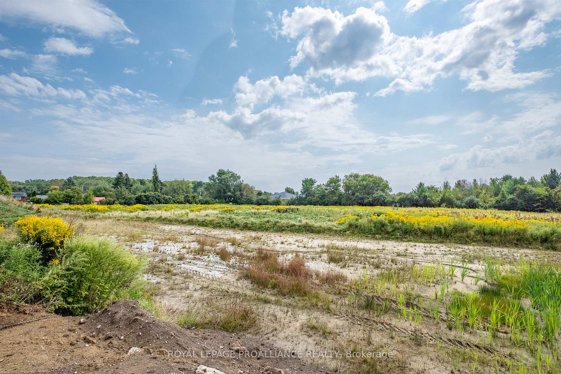 Photo 3 of 00 Trotters Lane, Cobourg — HOMEH