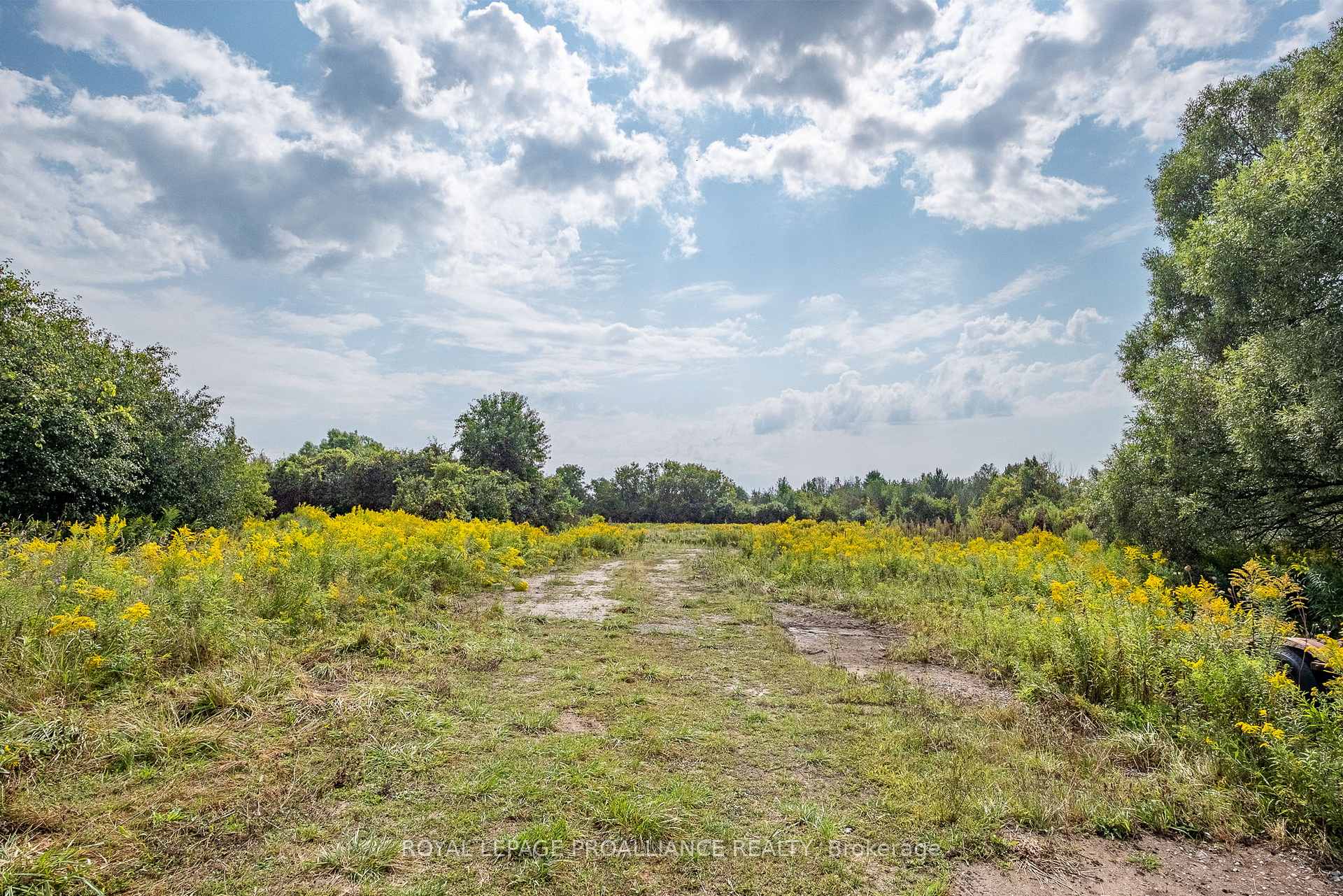 Photo 9 of 00 Trotters Lane, Cobourg — HOMEH