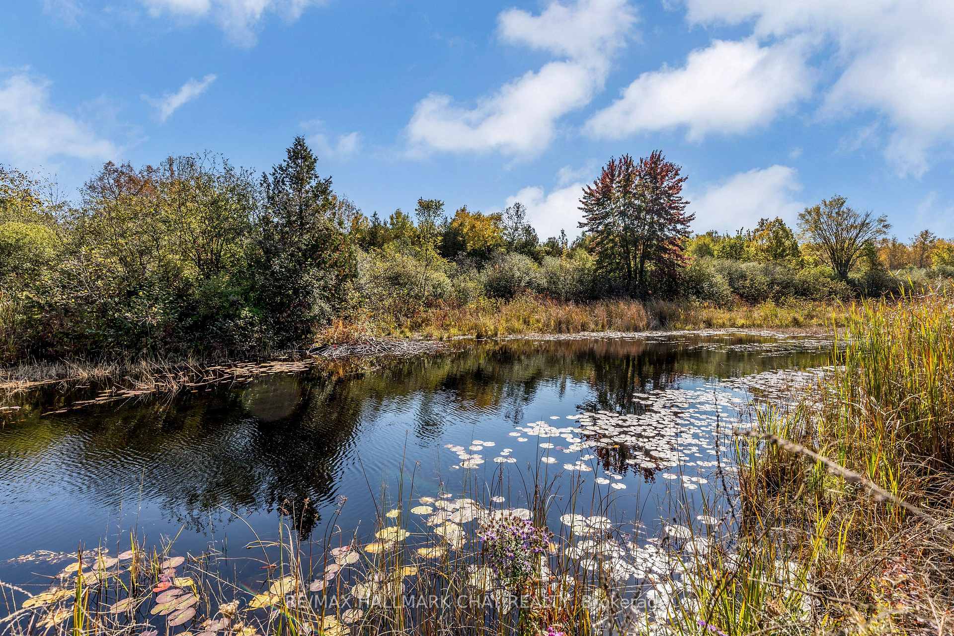 Photo 10 of 20385 Sideroad 18A, Brock, Cannington — HOMEH