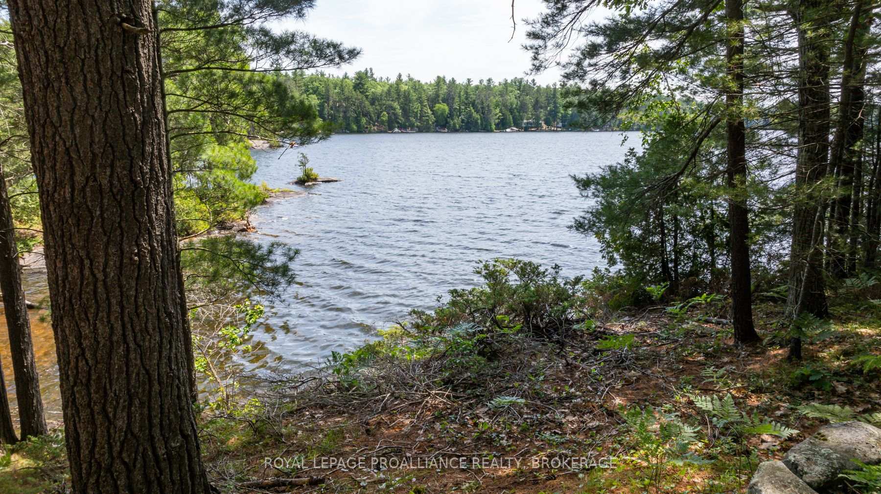 Photo 16 of 3971 Ardoch Road, Frontenac, Frontenac North — HOMEH