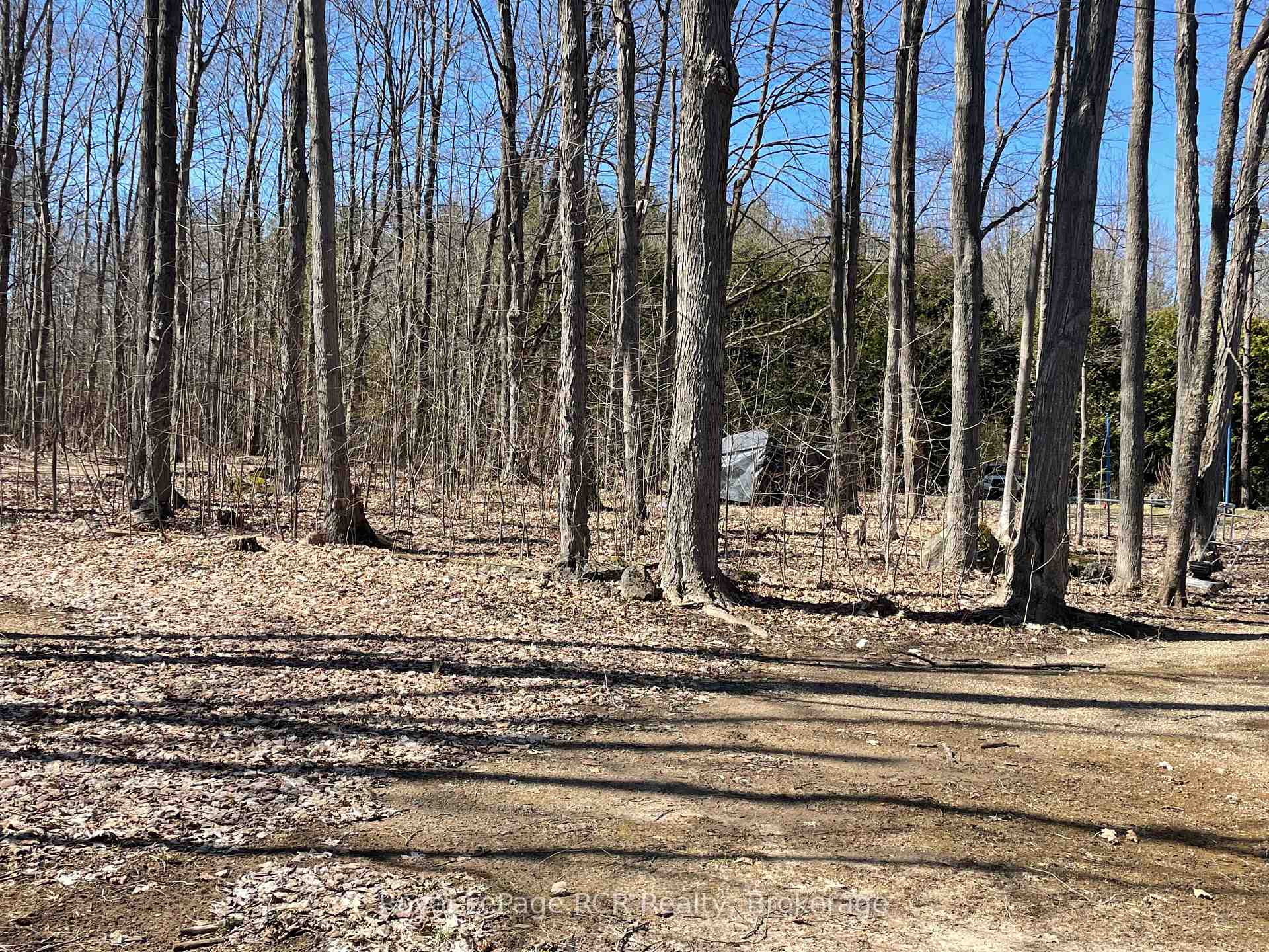 Photo 18 of 193 Blue Mountain Maples Road, Grey Highlands — HOMEH
