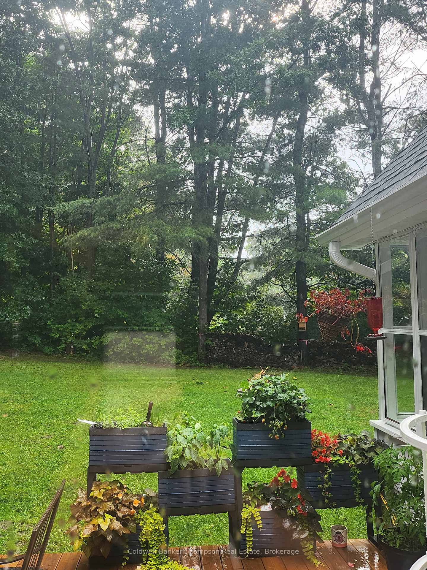 Photo 40 of 125 Douglas Street, Gravenhurst, Muskoka (S) — HOMEH