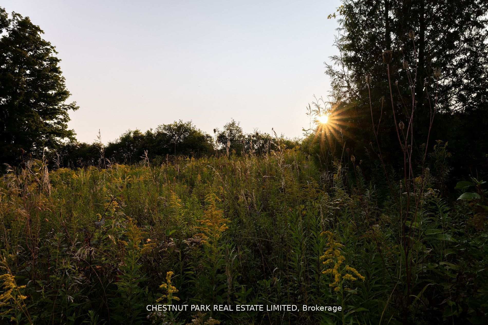 Photo 20 of 1021 St Marys Boulevard, Brock, Rural Brock — HOMEH