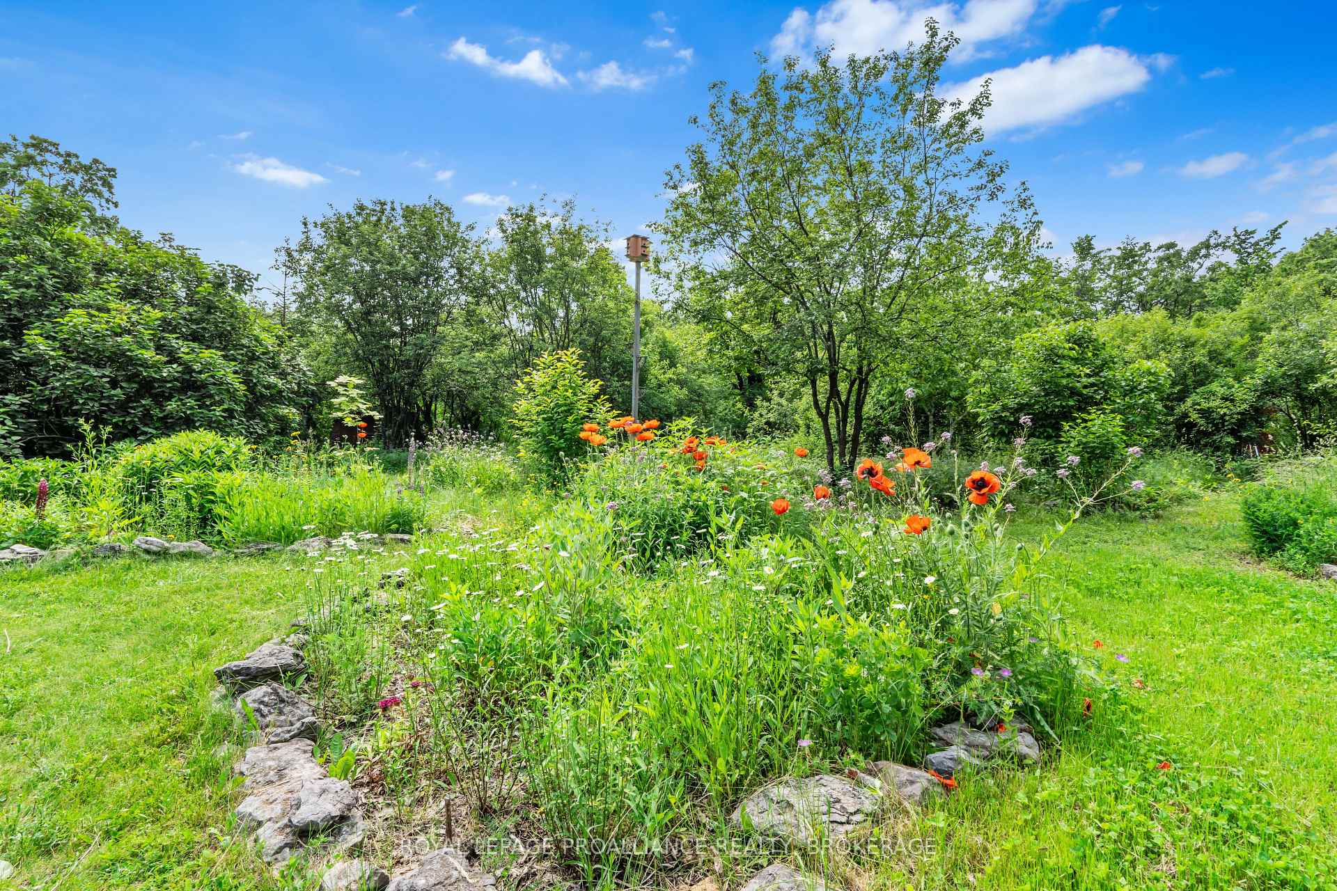 Photo 20 of 1827 Radage Road, Kingston, City Northwest — HOMEH