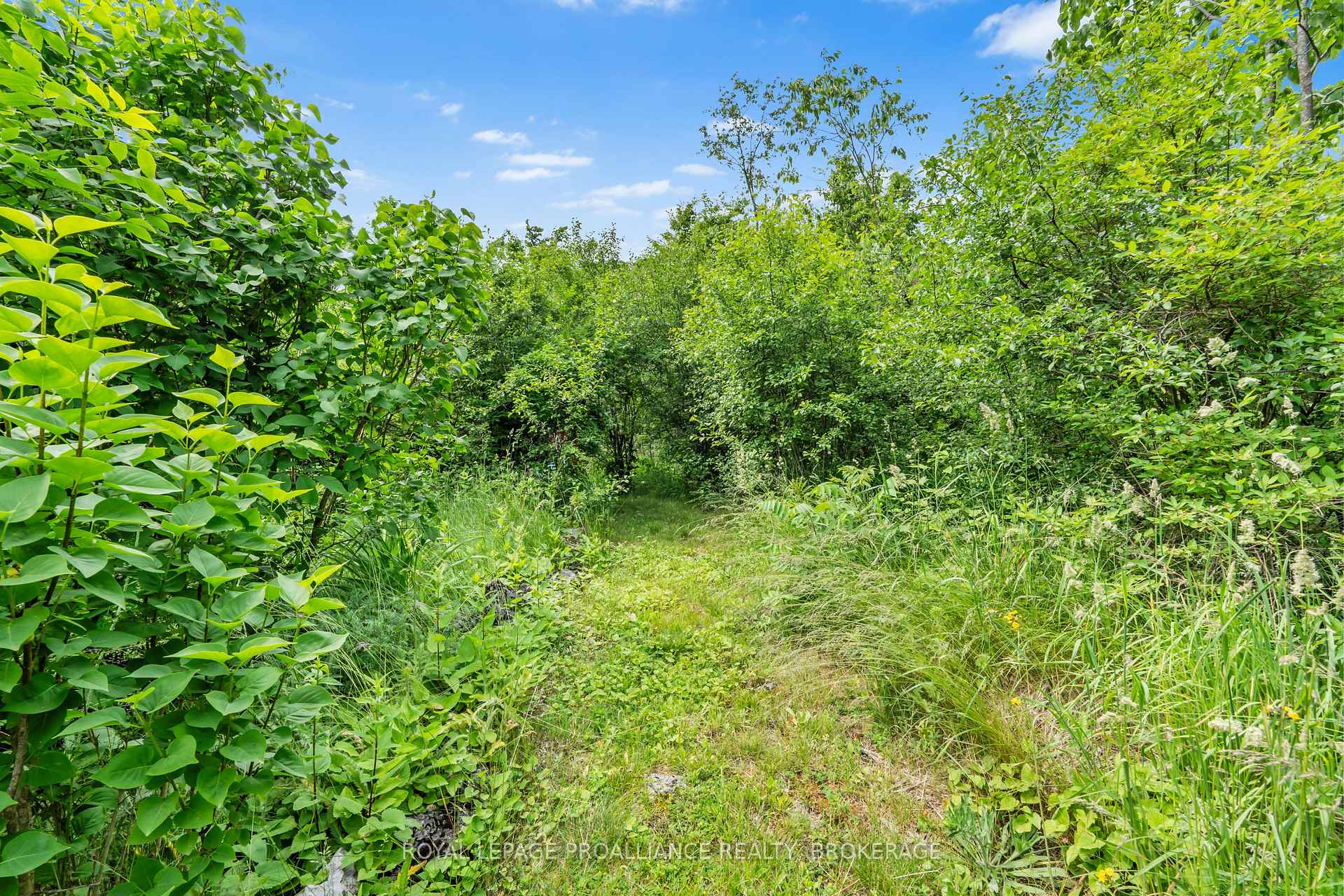 Photo 47 of 1827 Radage Road, Kingston, City Northwest — HOMEH