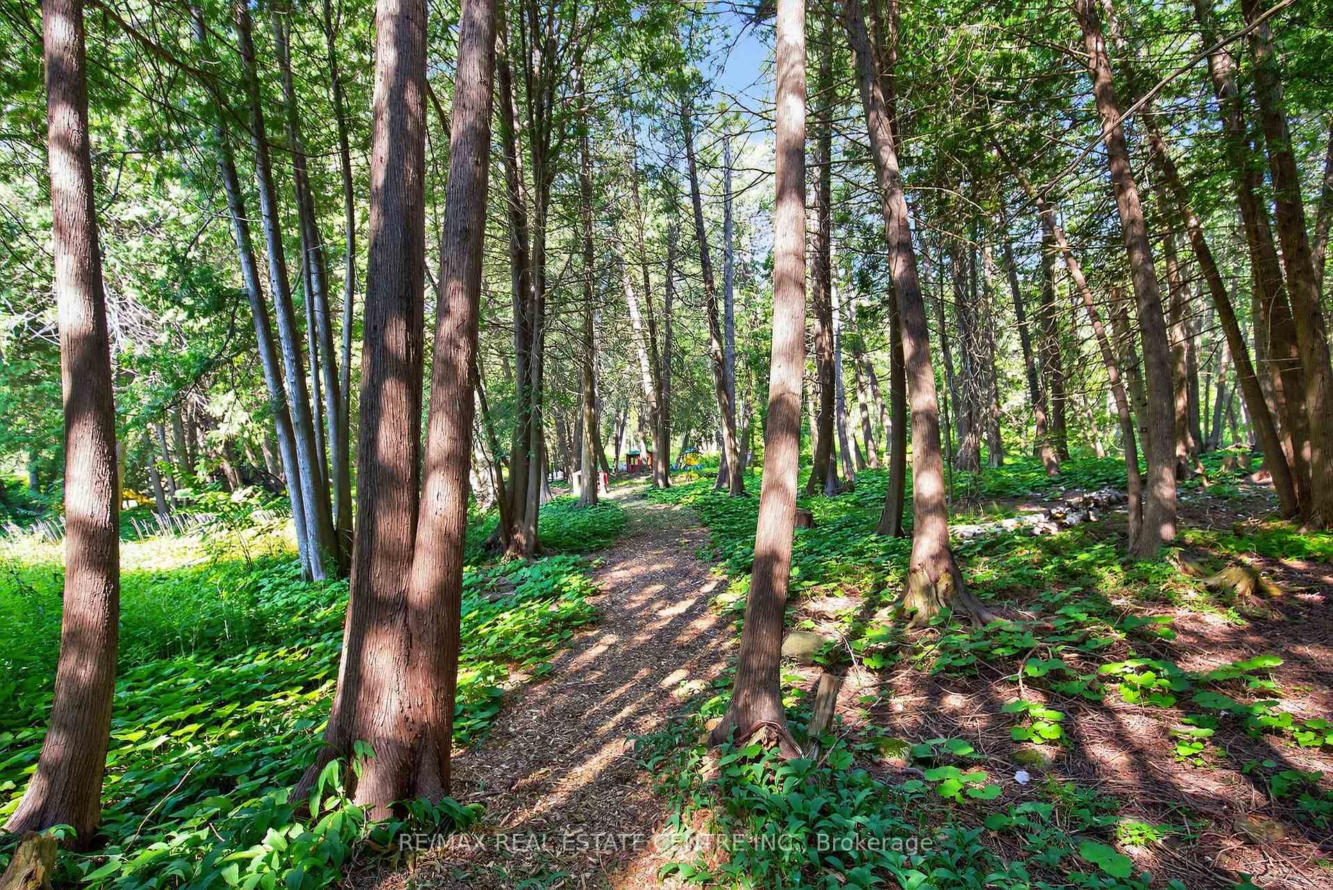 Photo 43 of 16 Cedar Lane, Mono, Rural Mono — HOMEH